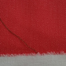 Double Color Cotton Twill Fabric